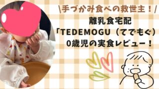 【体験談】離乳食宅配「TEDEMOGU（てでもぐ）」実食レビュー！手づかみ食べの救世主！